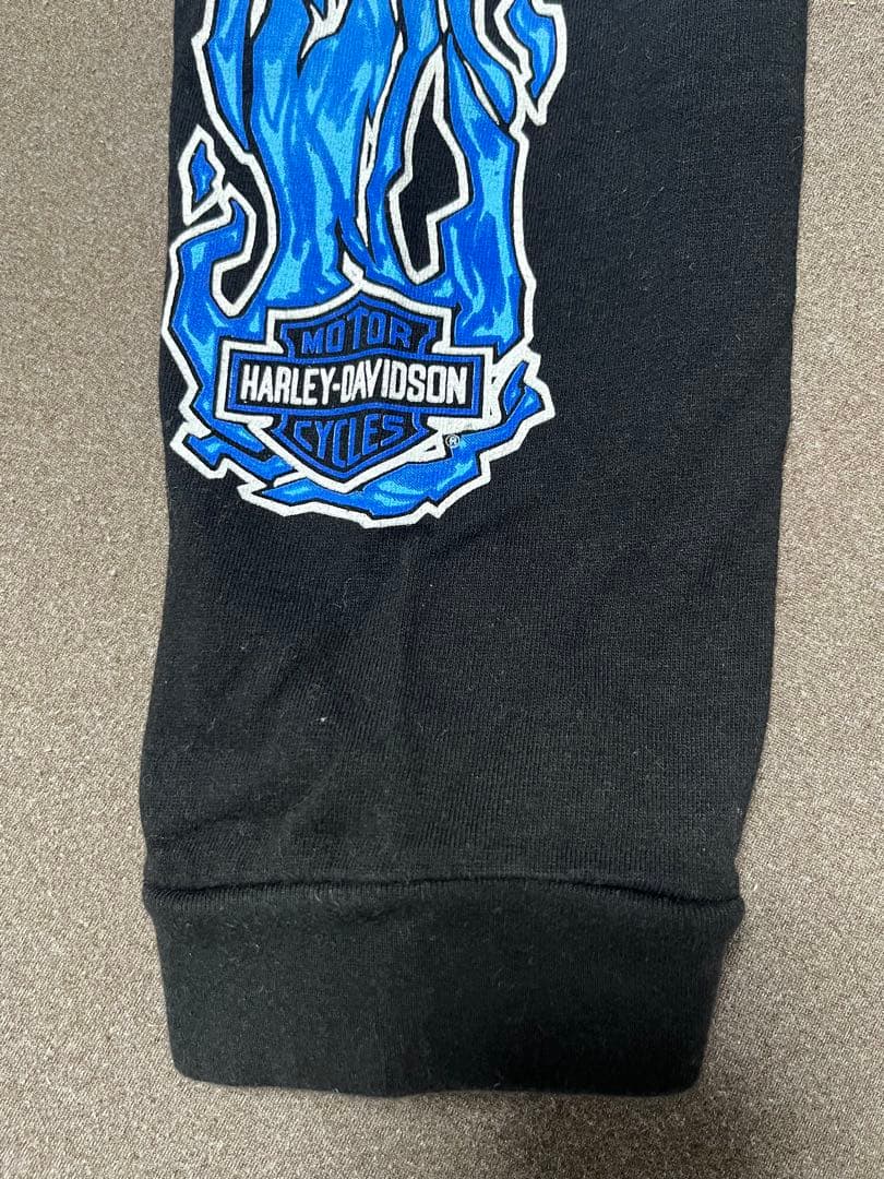 白窪　90s 00s harley davidson ハーレー ブルー