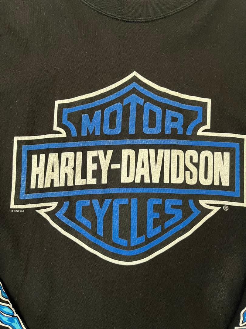 白窪　90s 00s harley davidson ハーレー ブルー