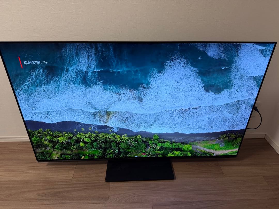 2023年製55インチ パナソニック4K有機ELテレビ VIERA保証書付