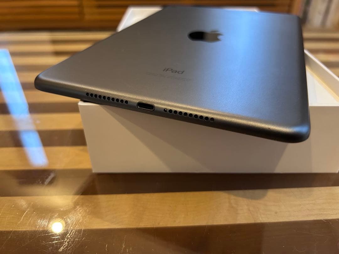 iPad本体 iPad mini 5 64GB Wifi+Cellular