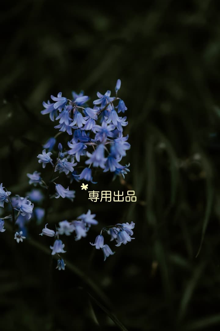 Asprey アスプレイ　カフス　パープルエナメル　スターリングシルバー