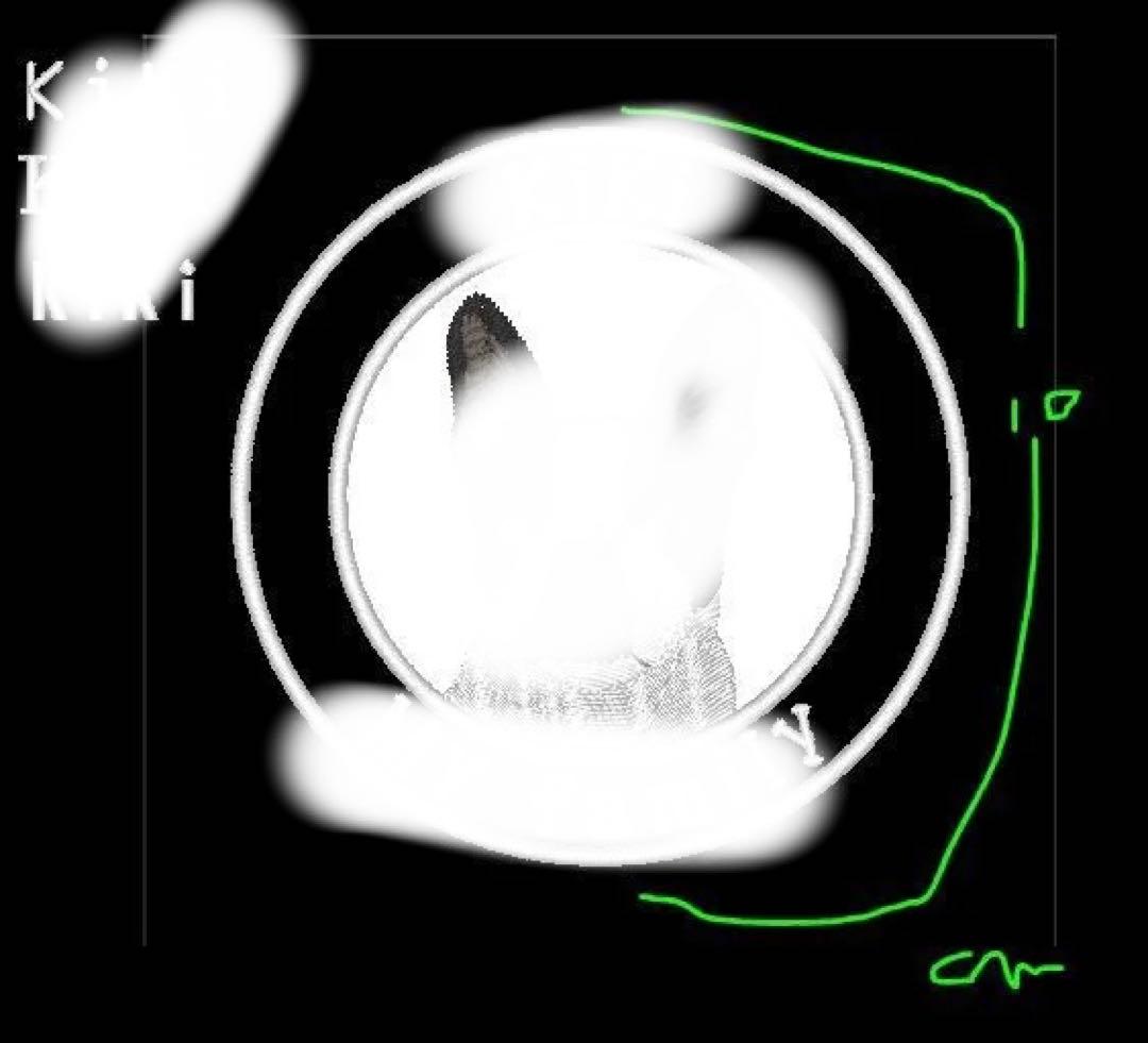 オリジナル　Doggy マジックテープタイプ