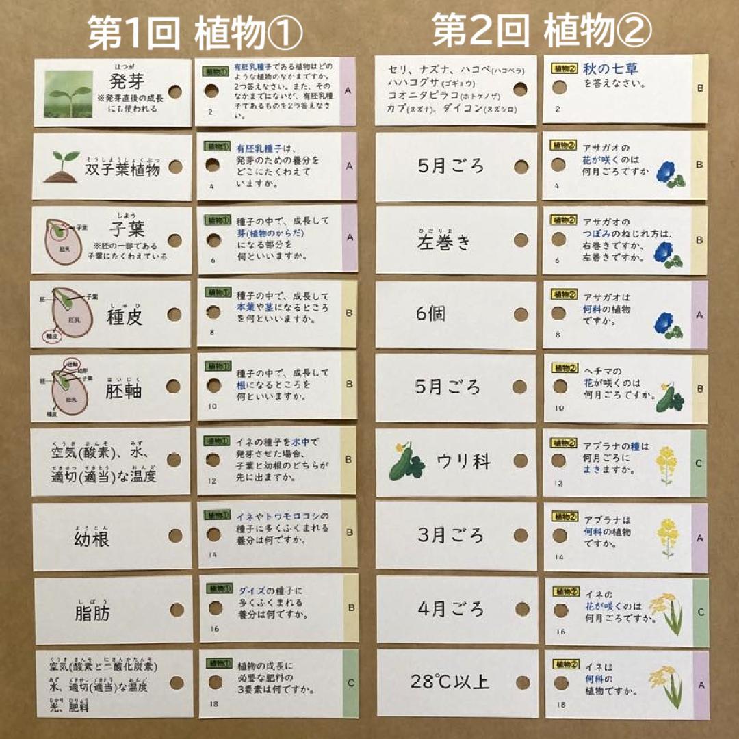 ☆大特価☆カット済 【中学受験】理科の基本事項 5・6年暗記カード フルセットb