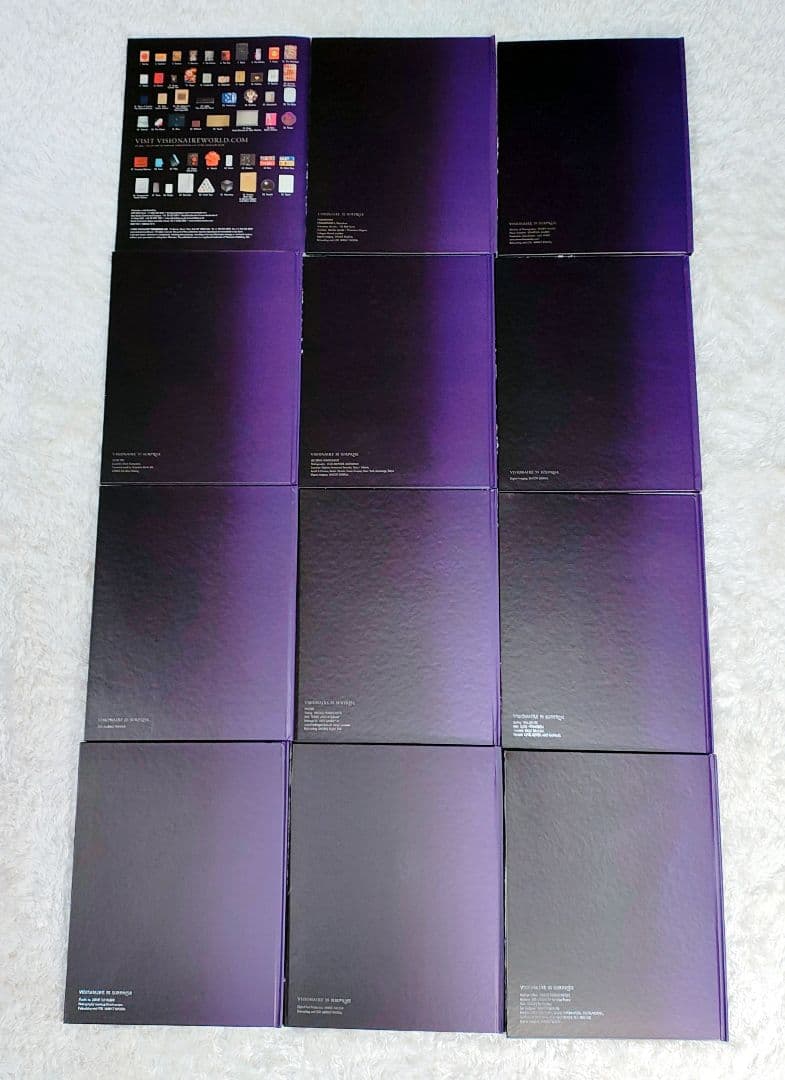 【限定4000部】ヴィジョネア 第55号 サプライズ ポップアップブック