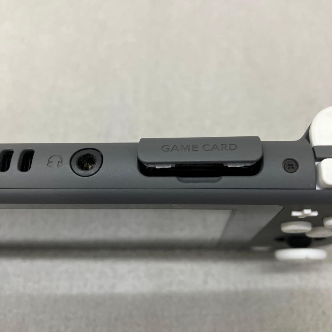 GD6119 Nintendo Switch Lite グレー