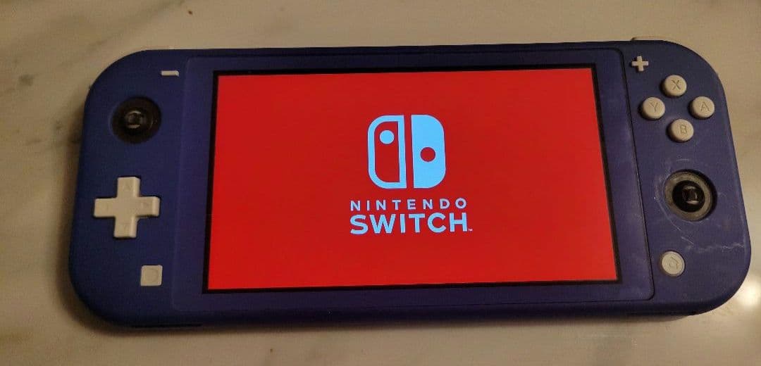 動作・操作可能Nintendo Switch Liteブルー　パーツ欠けジャンク