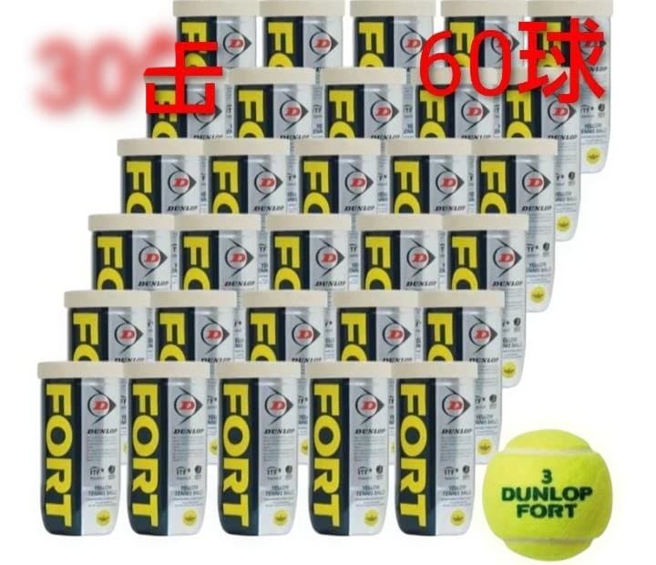 DUNLOPダンロップFORT硬式テニスボール2個入30缶計60球