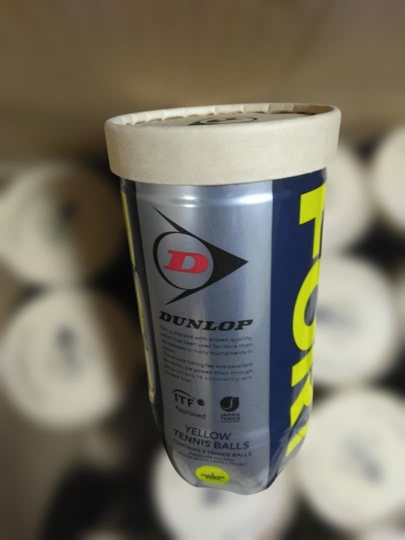 DUNLOPダンロップFORT硬式テニスボール2個入30缶計60球