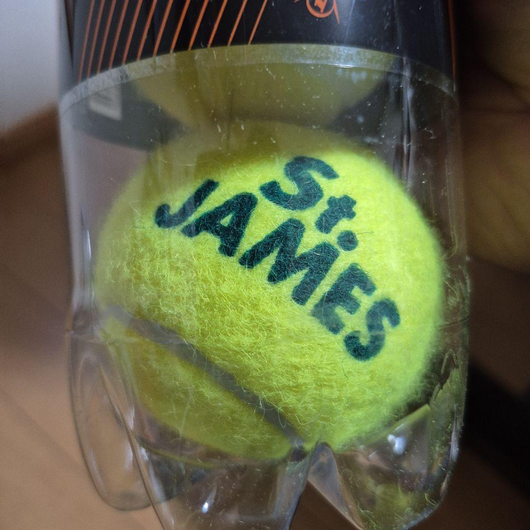 ダンロップ テニスボール セントジェームス 4個入り13缶