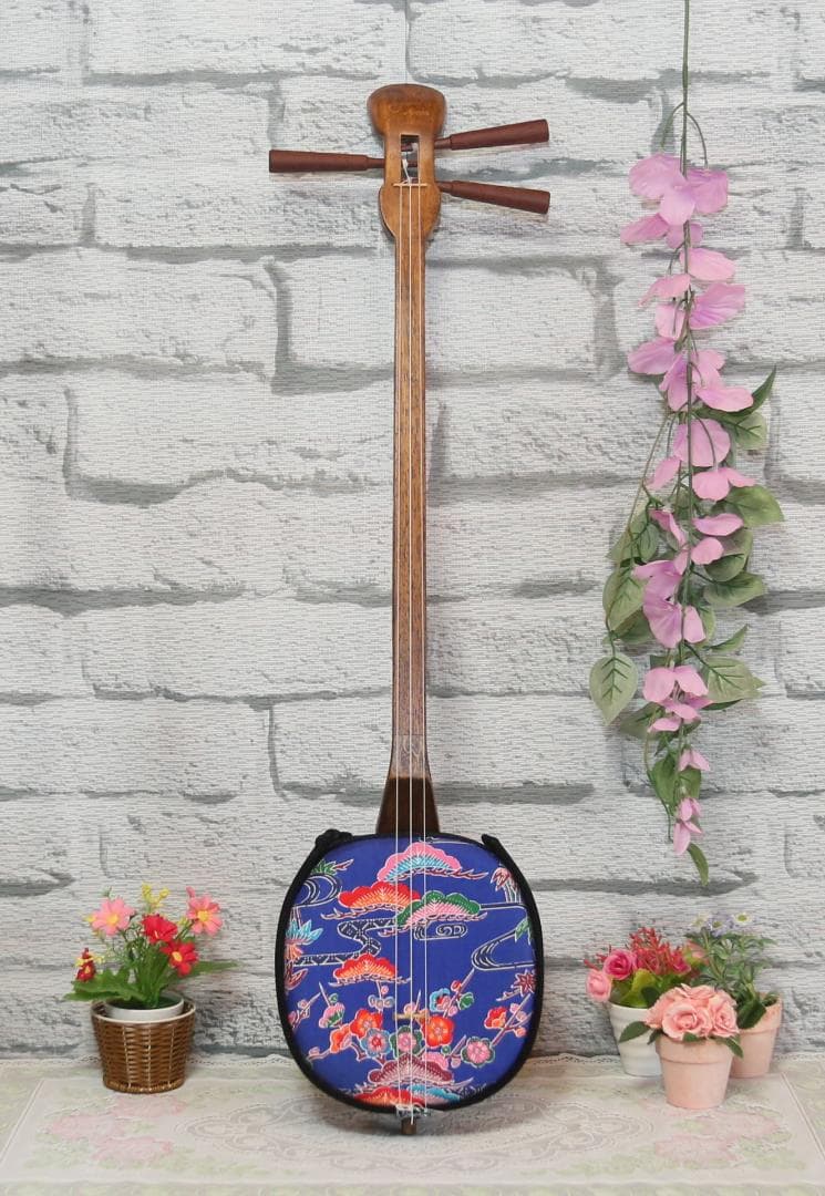 WOOD 三線　ケースセット　ASOVIVA