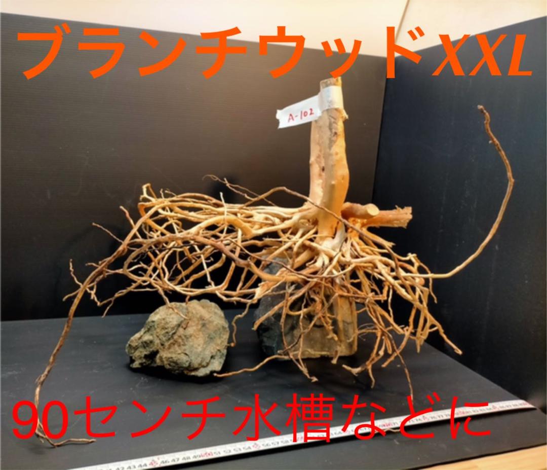 最終値下げブランチウッド　流木　XXL A-102