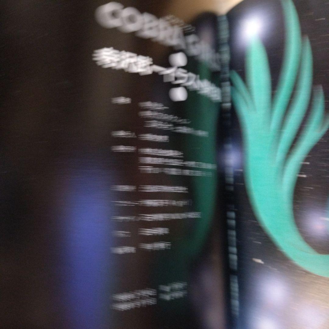 『COBRA GIRLS』コブラ　画集　イラスト集　寺沢武一　ポスター付き