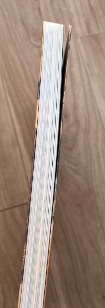 WATER 井上井彦 アートブック　帯付き　初版　バガボンド原画集