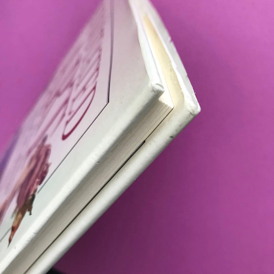 洋書 ANNOTATED ART by ROBERT CUMMING