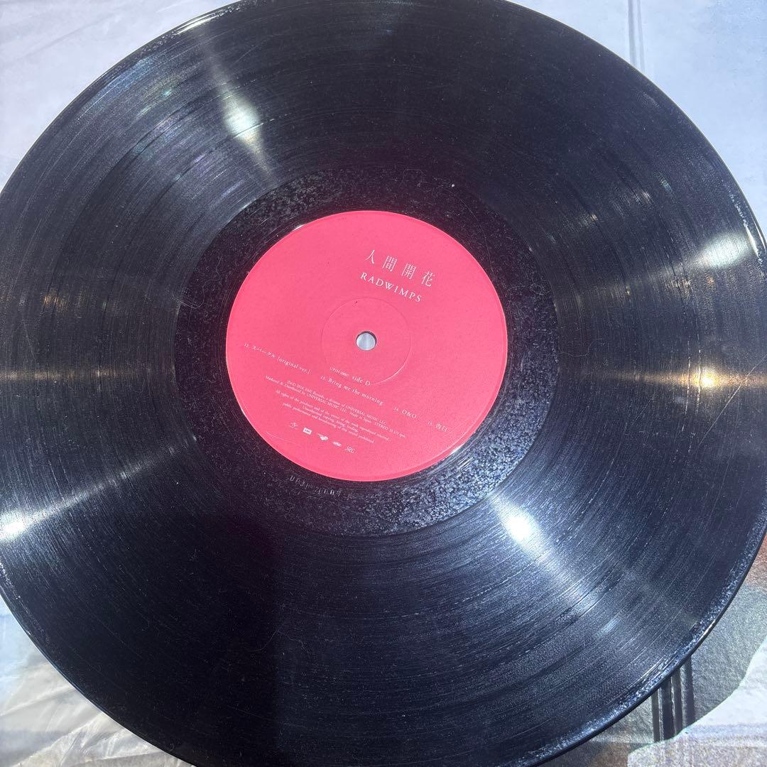 だ*ー様 RADWIMPS 人間開花 レコード