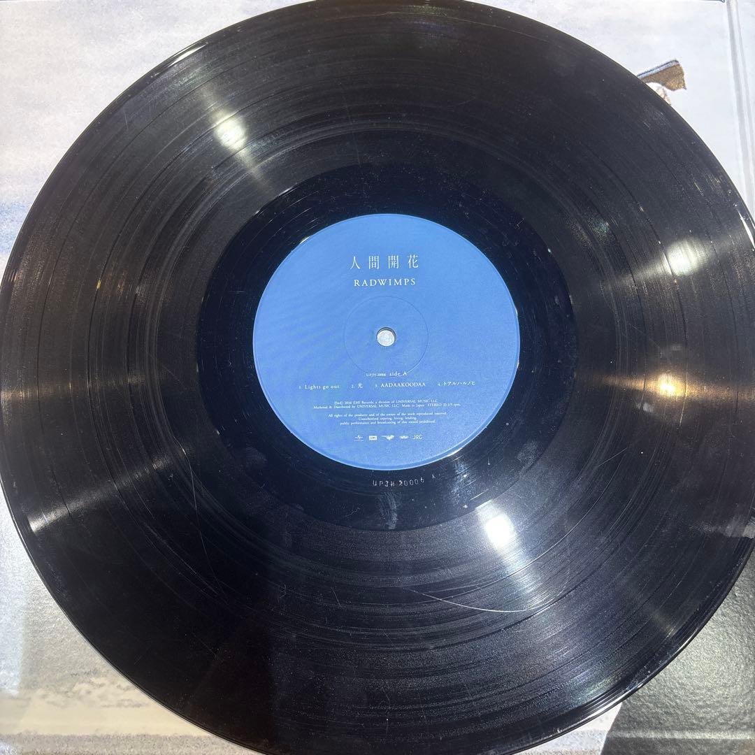 だ*ー様 RADWIMPS 人間開花 レコード