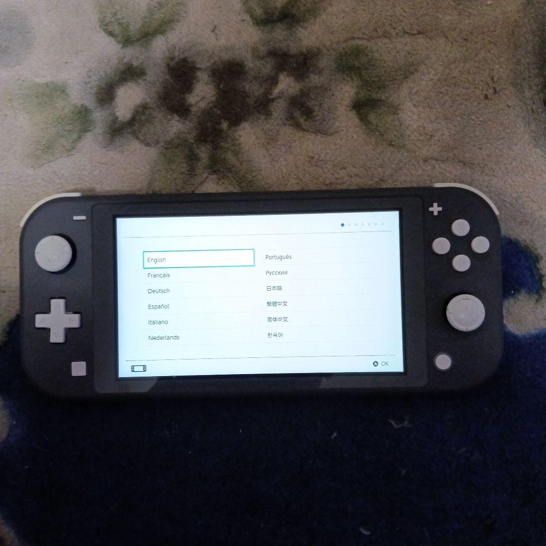Nintendo Switch Lite グレー、美品