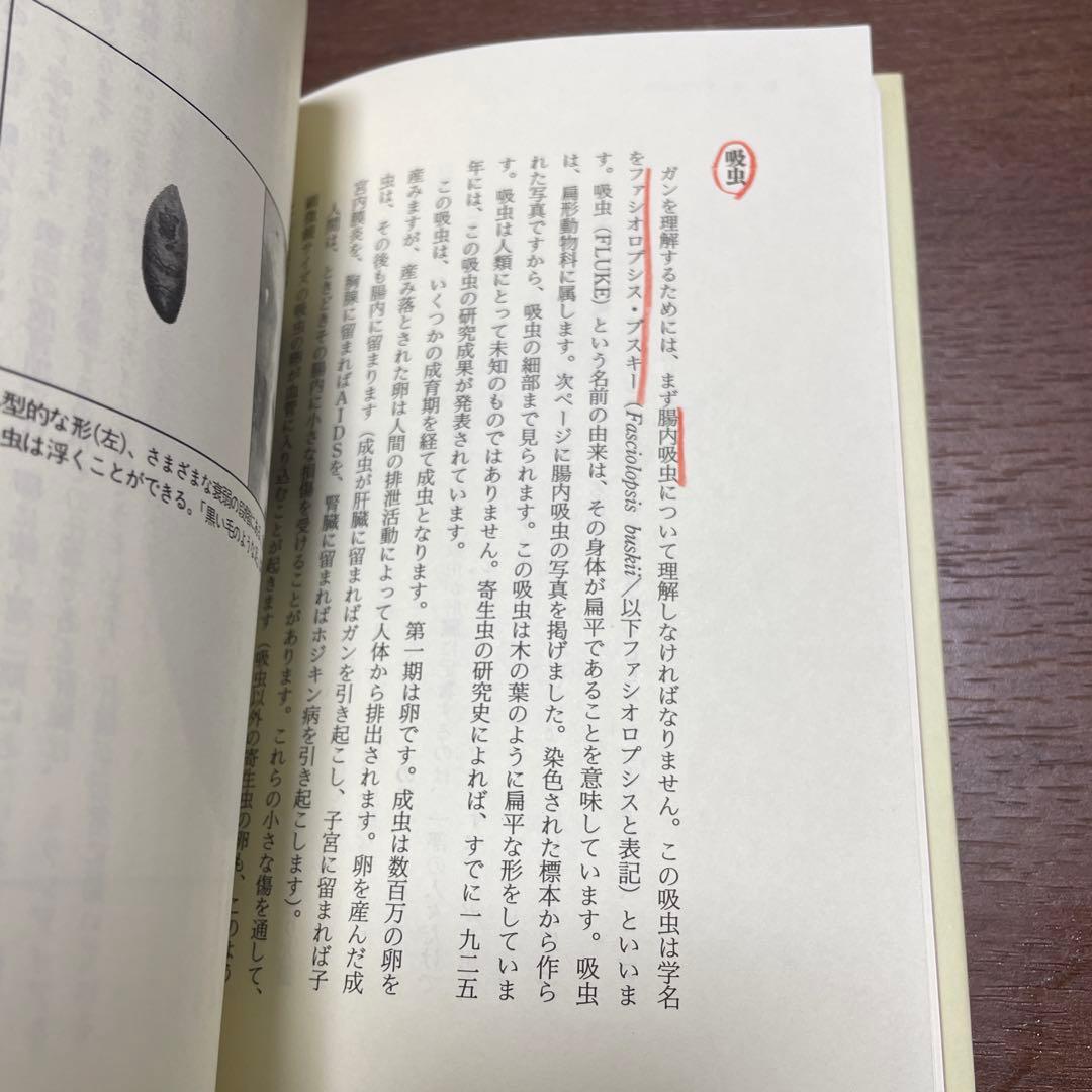 【希少】　ハーブ で ガン の 完全 治癒