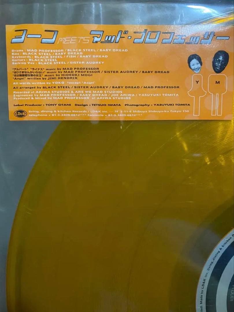 【激レア】YOKO meets Mad Professor 12inch