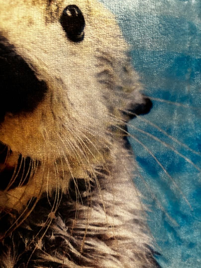 鳥羽水族館　ラッコメモリアルBOOK &ブランケット