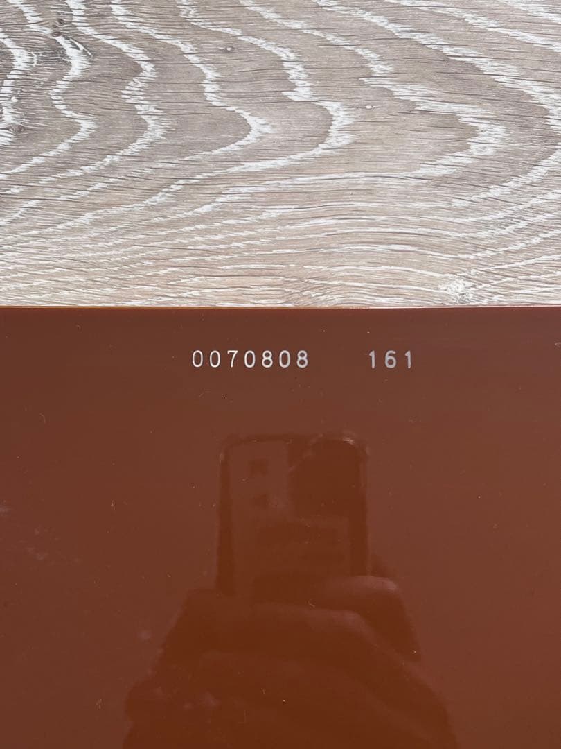 GENTEMSTICK FLOATER 161 ゲンテンスティック フローター