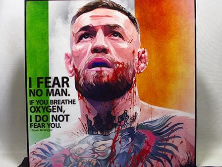 【キヨ・新品 No 255】 ポップアートパネル コナー マクレガー