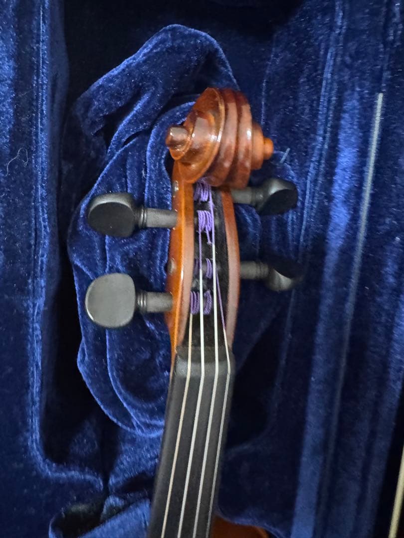 HORA Reghin 4/4 Romania 2019 バイオリン