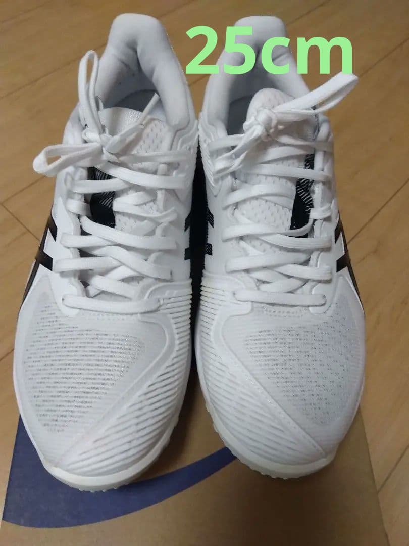 【オムニ・クレー】アシックス　ソリューションスピードFF3　25cm