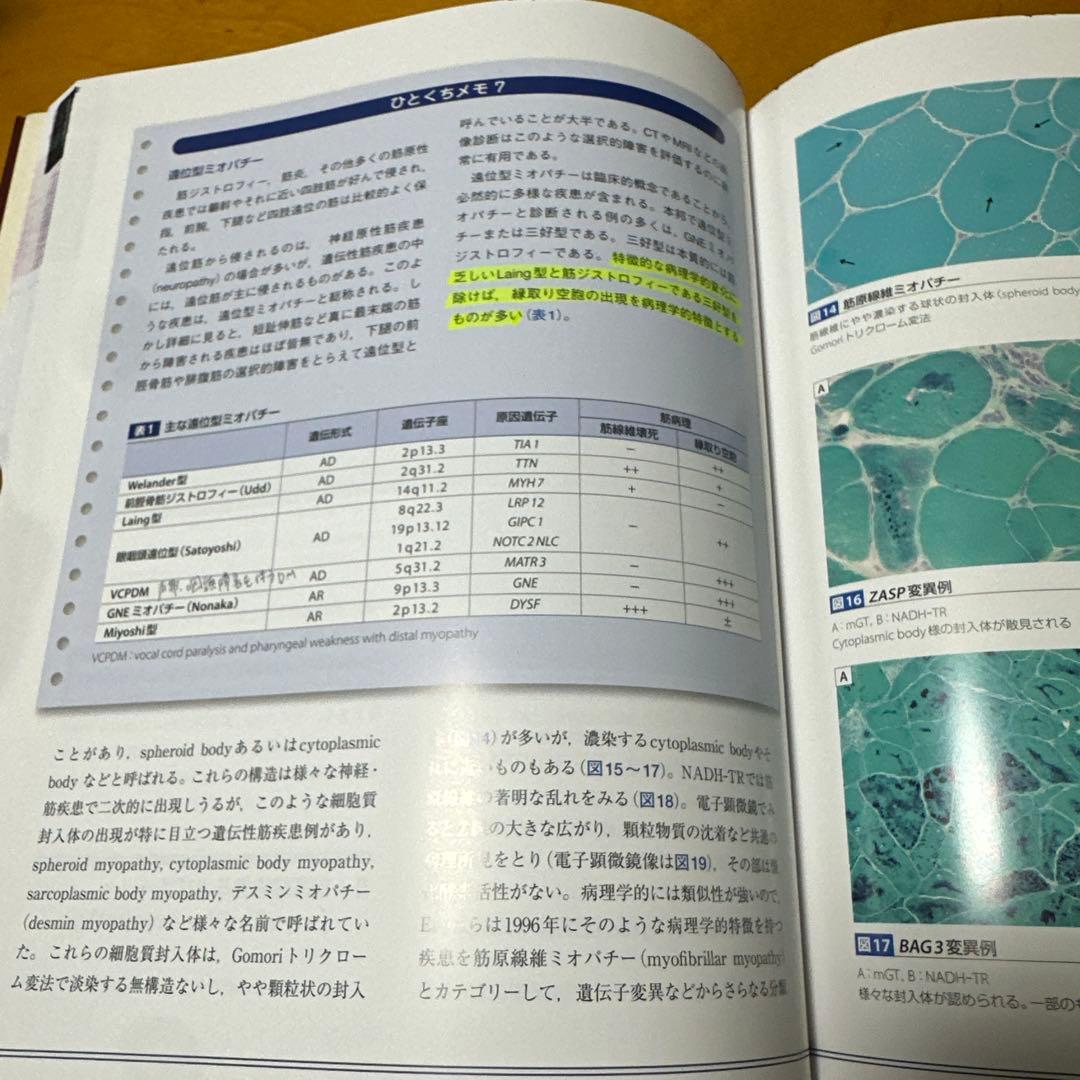 臨床のための筋病理 第5版