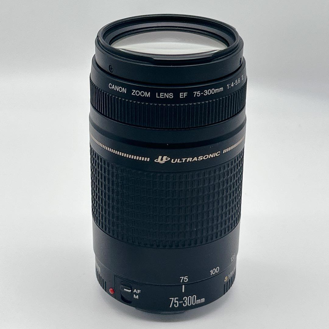 【美品】CANON 望遠レンズEF 75-300mm 1:4-5.6 Ⅱ