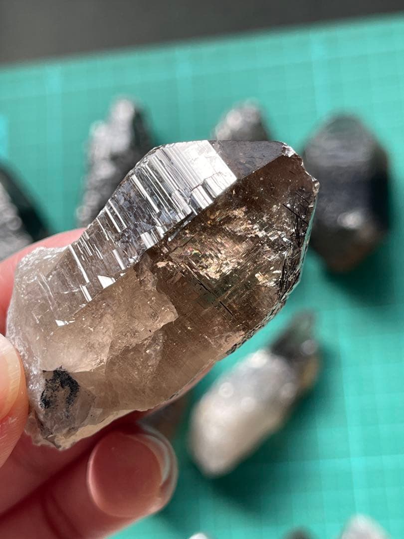 青い石様セット