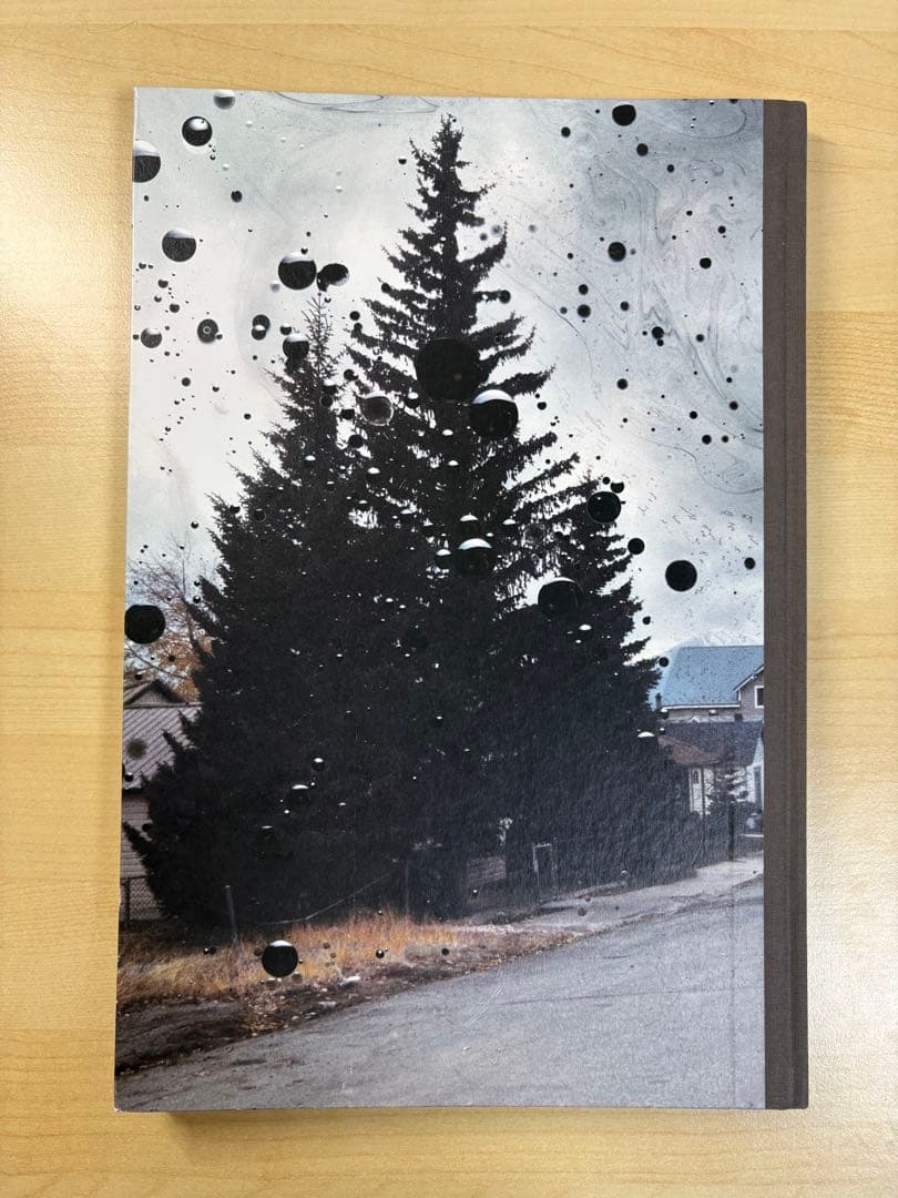 Taiyo Onorato and Nico Krebs 作品集