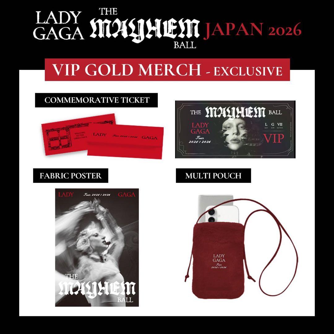 Lady Gaga ライブ VIP Gold ガガ グッズ 特典 セット