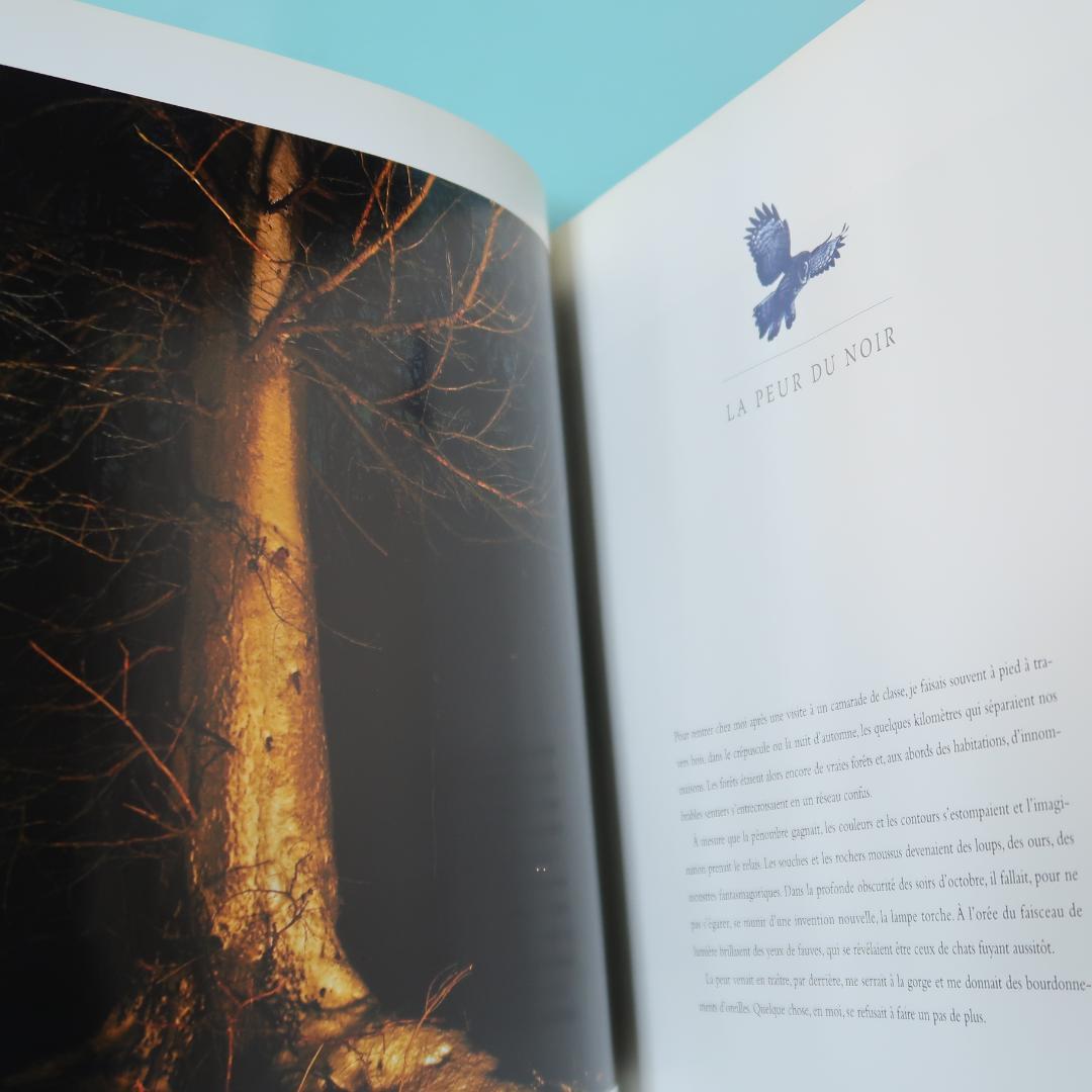 セール！洋写真集　Nuits étoilées　ヨルマ・ルフタ　大自然 オーロラ