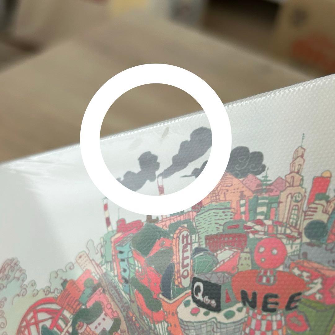 NEE 初回限定盤+グッズ