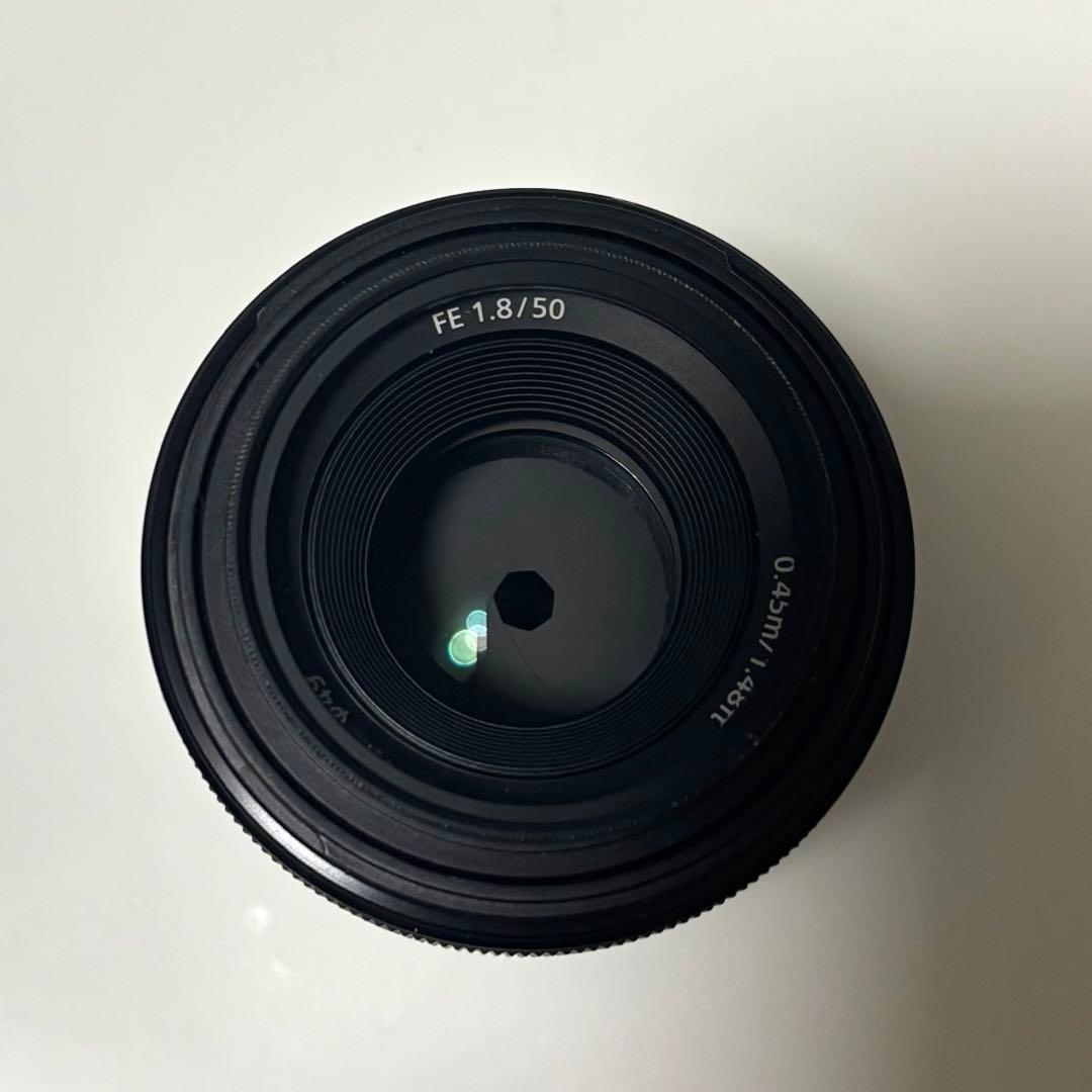sony FE 50mm F1.8 単焦点