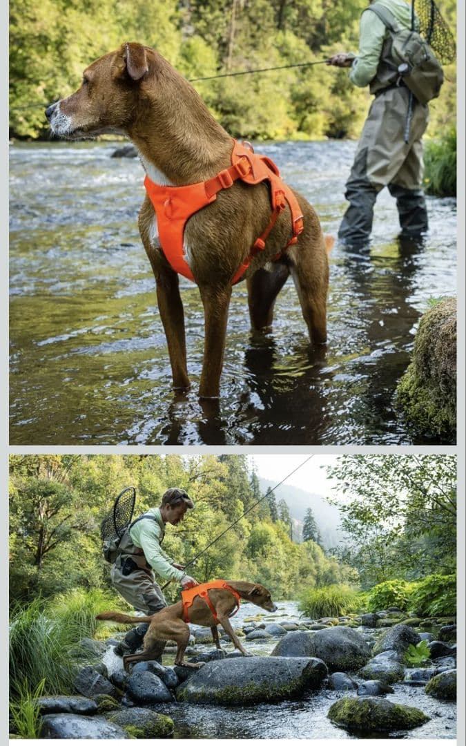 RUFFWEAR Web Master ハーネス Sサイズ オレンジ