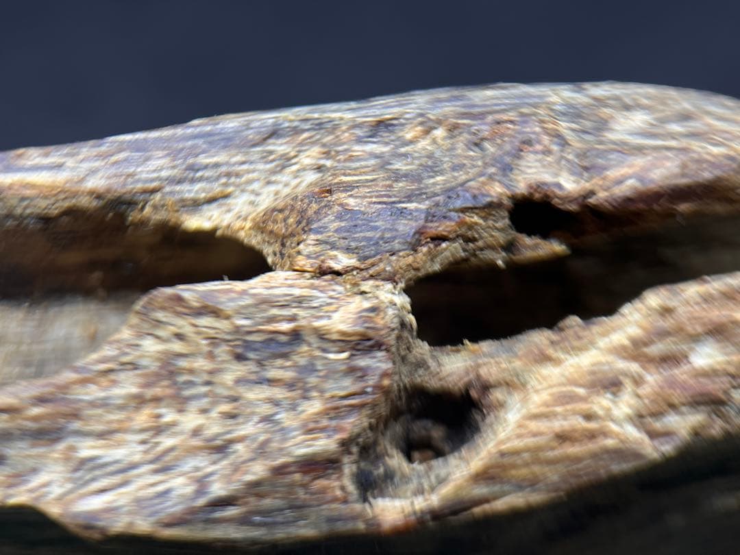 お香 天然沈香 六国五味聞香用 伽羅 香木 1-S-52g 新年特別出品