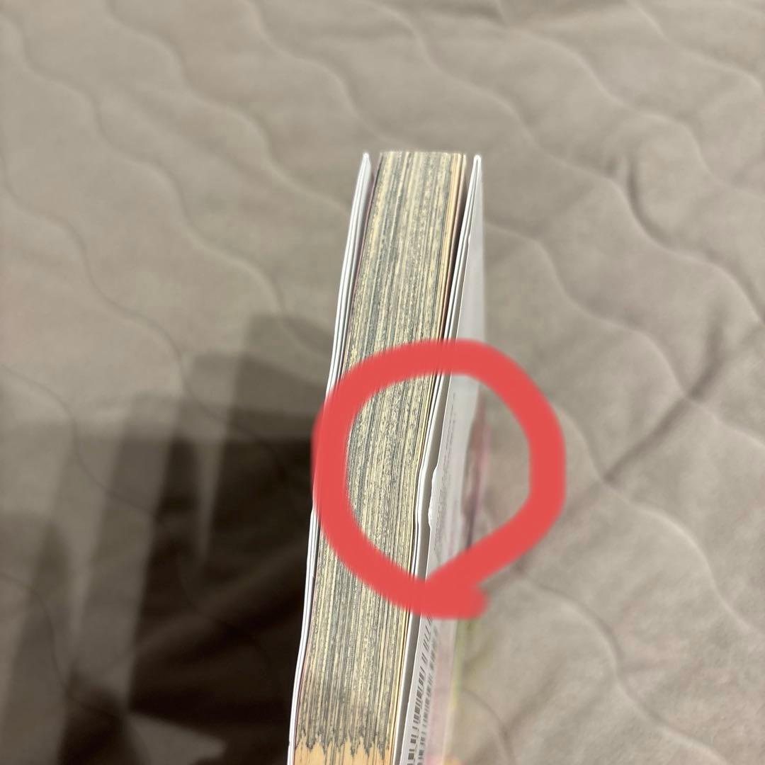 君のことが大大大大大好きな100人の彼女　21巻セット