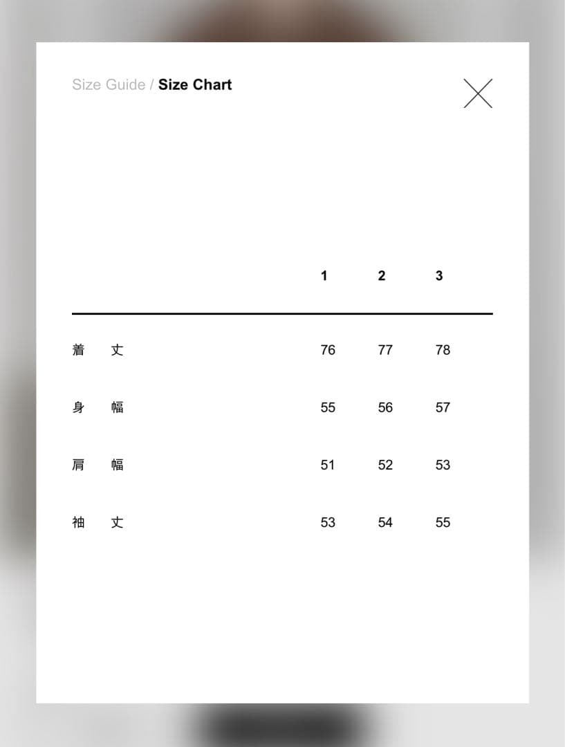 ジャケット・アウター HYKE 25aw DOUBLE FACE SHAWL COLLAR COAT