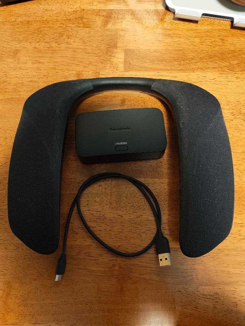 Panasonic SB-GNW10 ネックスピーカー