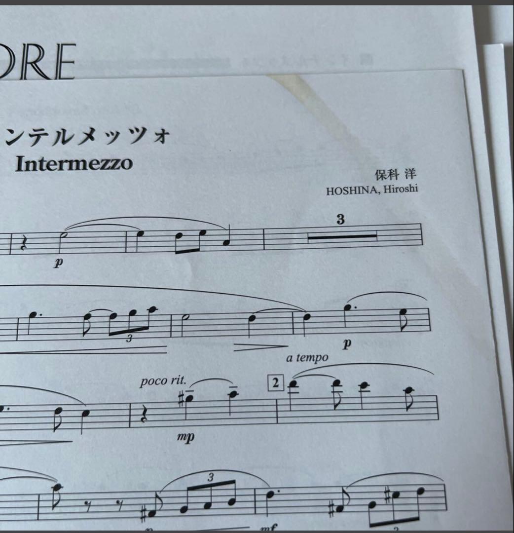 11/29削除　最終値下げ　絶版　2017年全日本吹奏楽コンクール課題曲3、4