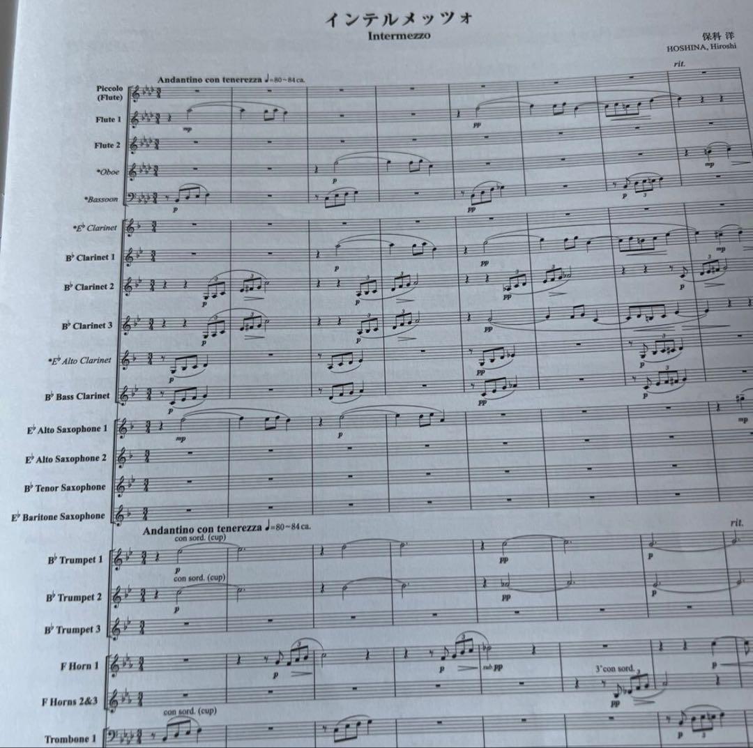 11/29削除　最終値下げ　絶版　2017年全日本吹奏楽コンクール課題曲3、4