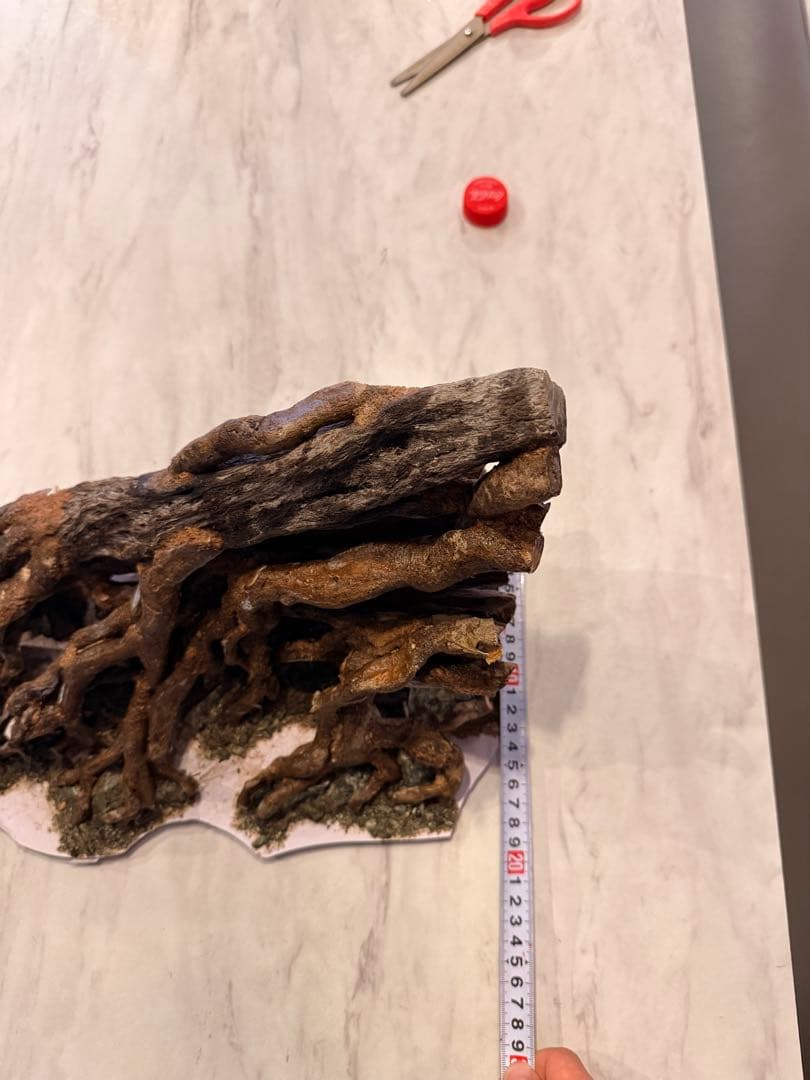 水槽用流木 大きめ 根の形状