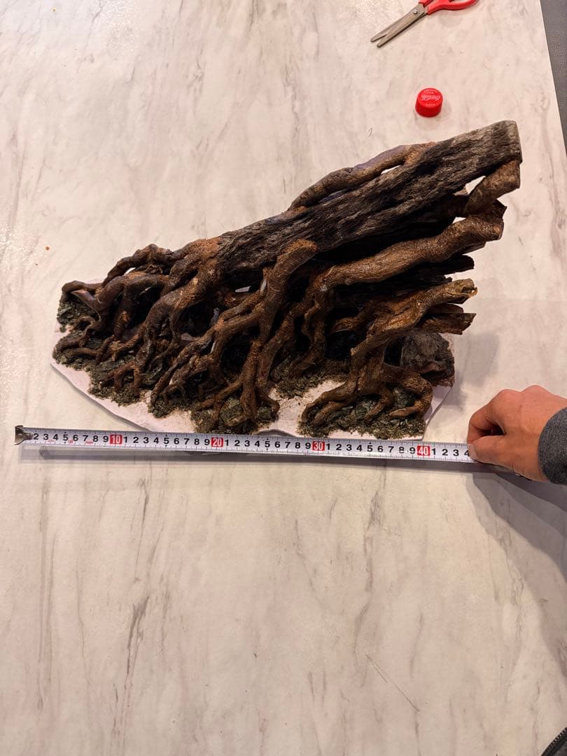 水槽用流木 大きめ 根の形状