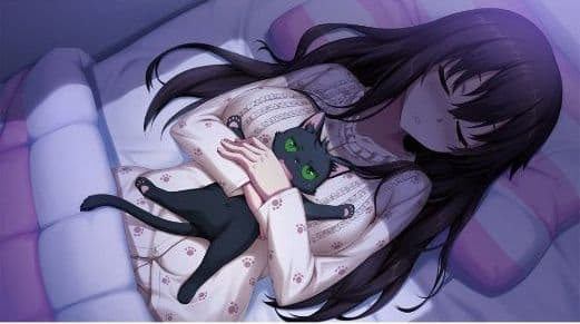 美品・未開封　ノラと皇女と野良猫ハート HD ＆２セット　Switchセット