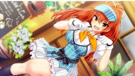 美品・未開封　ノラと皇女と野良猫ハート HD ＆２セット　Switchセット