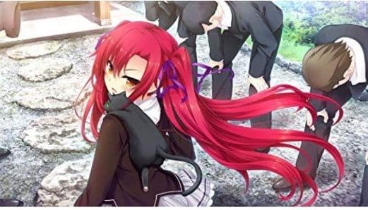 美品・未開封　ノラと皇女と野良猫ハート HD ＆２セット　Switchセット