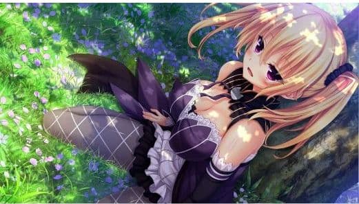 美品・未開封　ノラと皇女と野良猫ハート HD ＆２セット　Switchセット