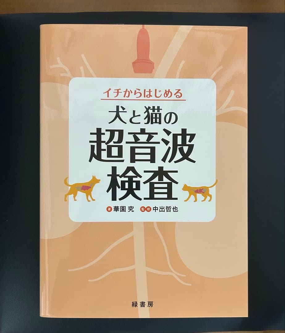 犬と猫のX線検査・超音波検査